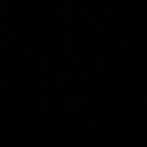 Meet your Posher, Peyton